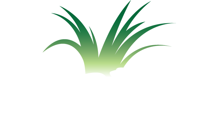 Perfect Synthetic Grass